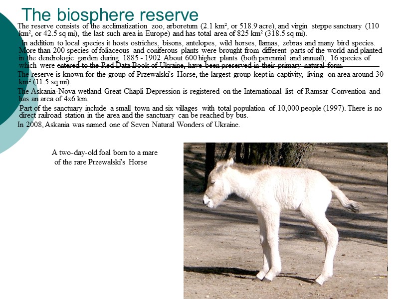 The biosphere reserve        The reserve consists of